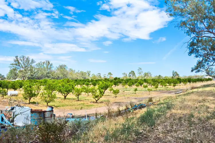 Third view of Homely land listing, 215 Delta Road, Curlwaa NSW 2648