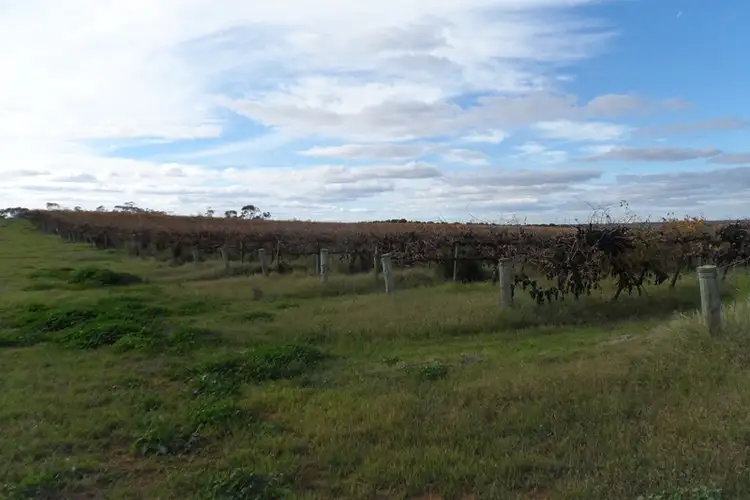 Sixth view of Homely house listing, 305 Old Cooltong Road, Renmark SA 5341