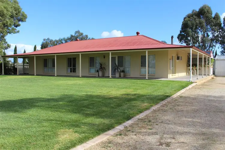 Main view of Homely house listing, 167 O'Halloran Street, Bordertown SA 5268