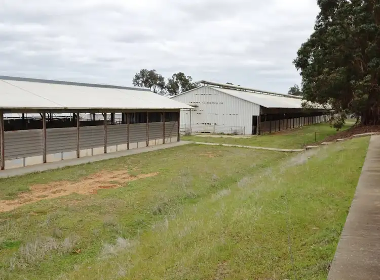 Fifth view of Homely rural property listing, Narrogin Piggery, 394 Narrakine Rd, Narrogin WA 6312
