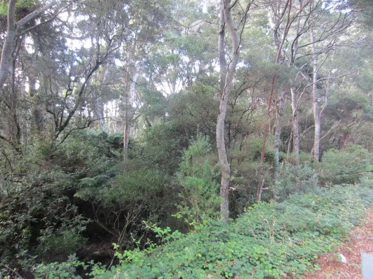 Third view of Homely land listing, 0 Henty Road, Strahan TAS 7468