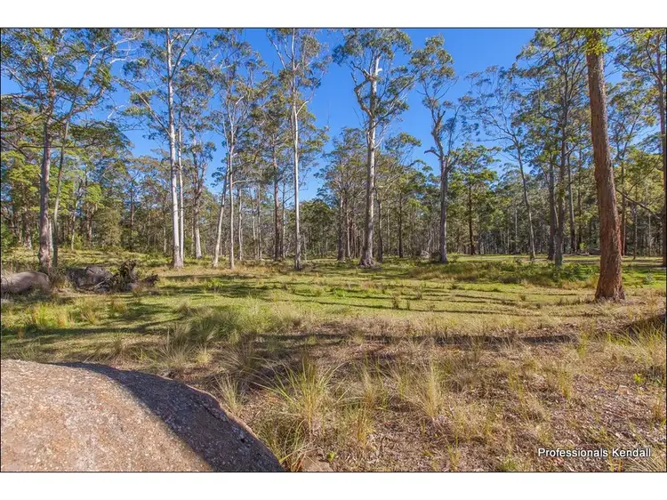 Sixth view of Homely land listing, 905L Main Western Road, Tamborine Mountain QLD 4272