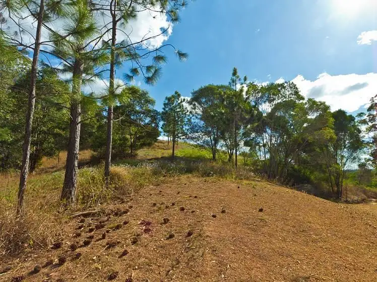 Sixth view of Homely land listing, Lot 2 Tandur Traveston Road, Traveston QLD 4570