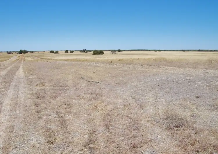 Fifth view of Homely rural property listing, Address available on request