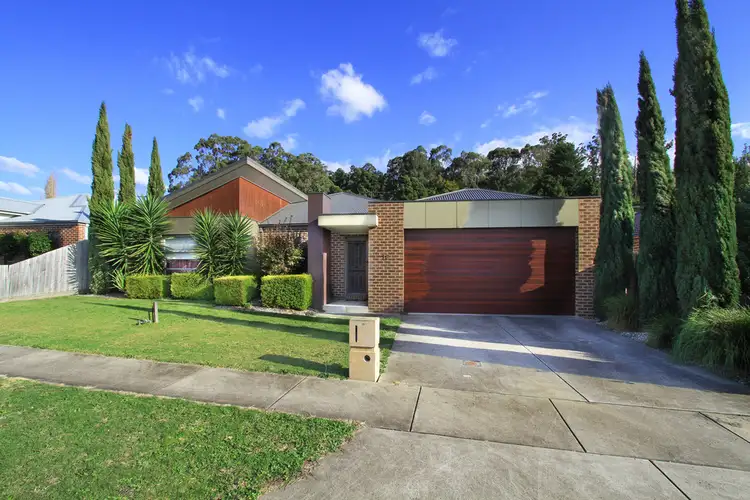 16 Fernlea Close, Trafalgar VIC 3824