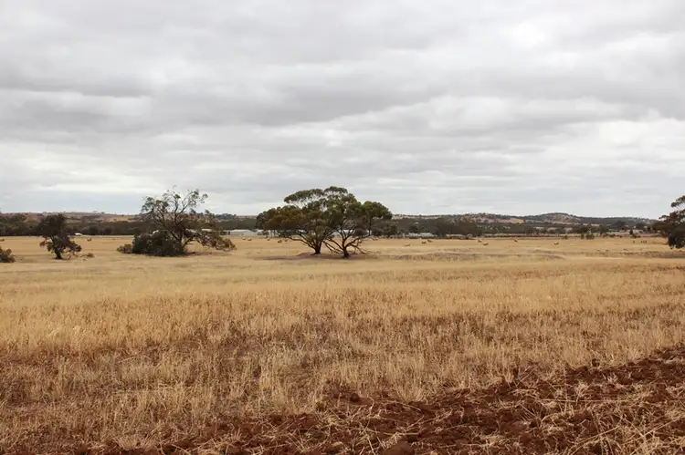 Fifth view of Homely land listing, 57 Lunt Street, Northam WA 6401