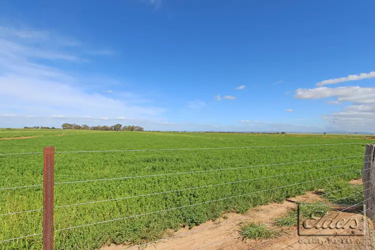 Third view of Homely rural property listing, 0 Pyrenees Highway, Carisbrook VIC 3464