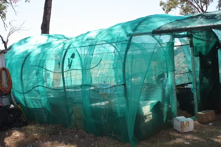 Fifth view of Homely house listing, MC 71863 Mt Bullock Road, Sapphire QLD 4702