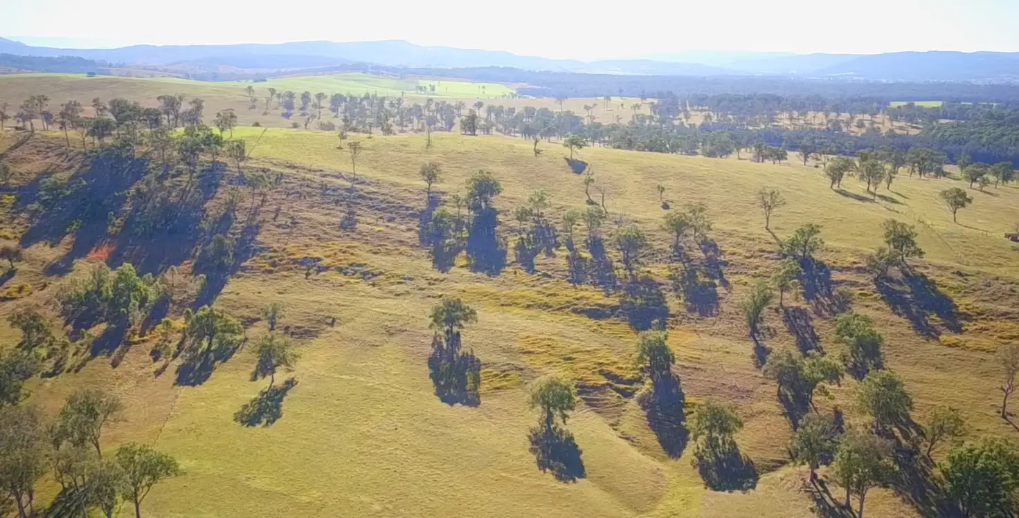 Main view of Homely rural property listing, 234 Maitland Vale Rd, Maitland Vale NSW 2320