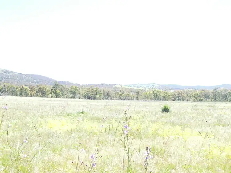 Second view of Homely rural property listing, c/a 47 & 48 Stawell-Avoca rd, Moonambel VIC 3478