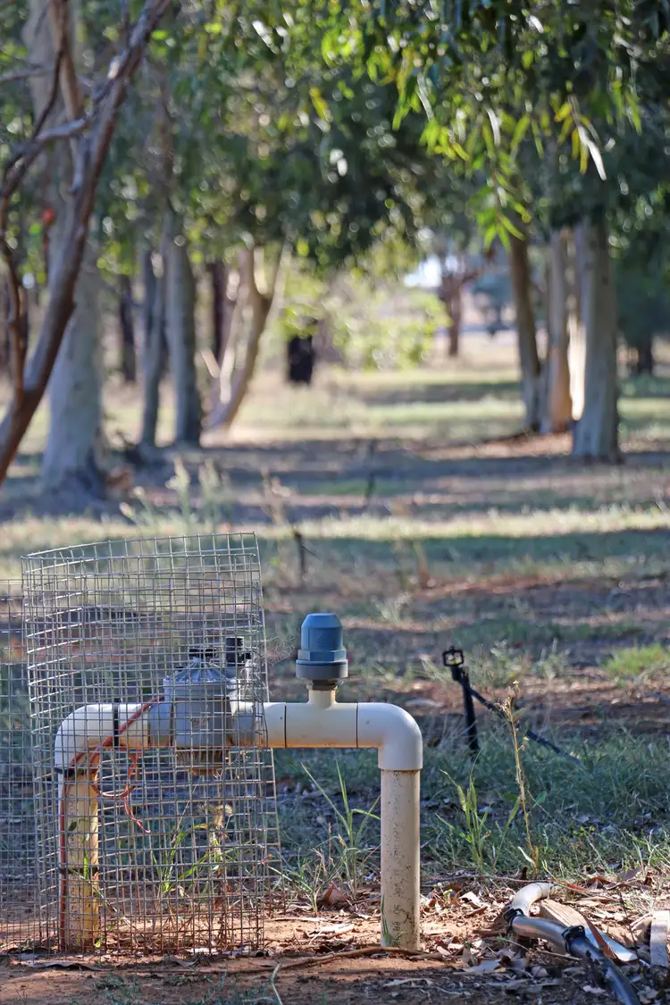 Fifth view of Homely rural property listing, "Maroondah" Spring Drive, Corowa NSW 2646