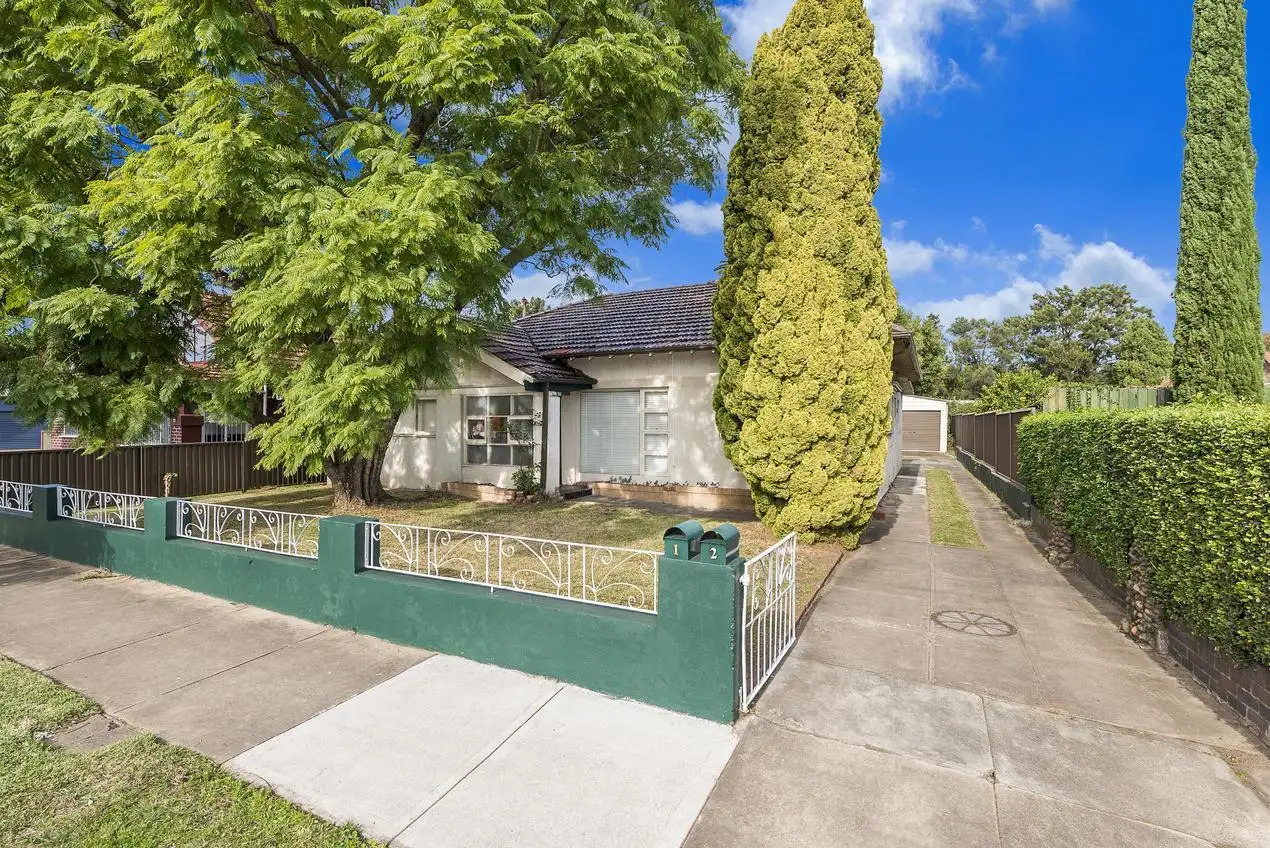 Main view of Homely house listing, 19 Earle Avenue, Ashfield NSW 2131