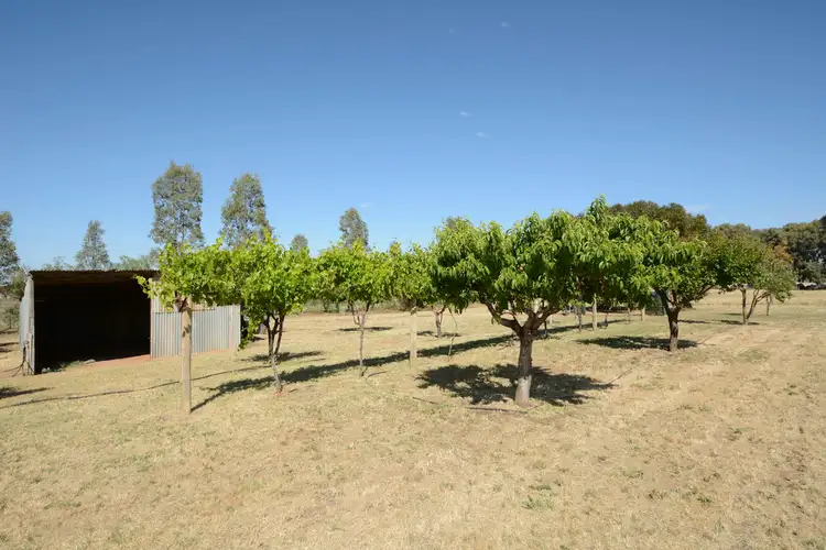Sixth view of Homely rural property listing, 3205 Benetook Ave, Mildura VIC 3500