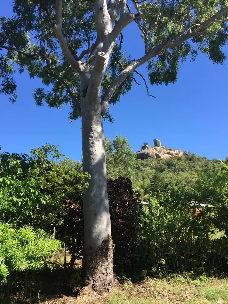Main view of Homely house listing, 5 Wansfell Street, Picnic Bay QLD 4819