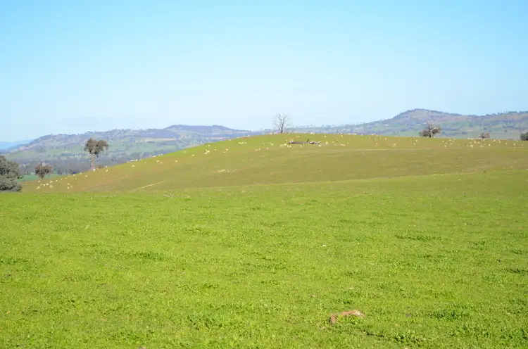 Fourth view of Homely rural property listing, Address available on request