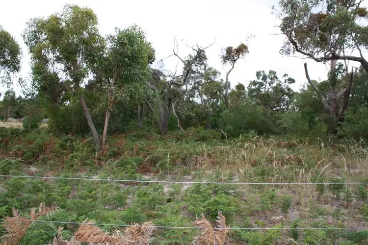 Second view of Homely land listing, Lot 3 Mason Road, Naracoorte SA 5271