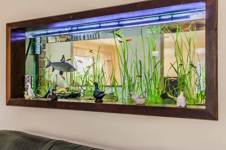 Seventh view of Homely house listing, 6 Bolivar Court, Safety Bay WA 6169