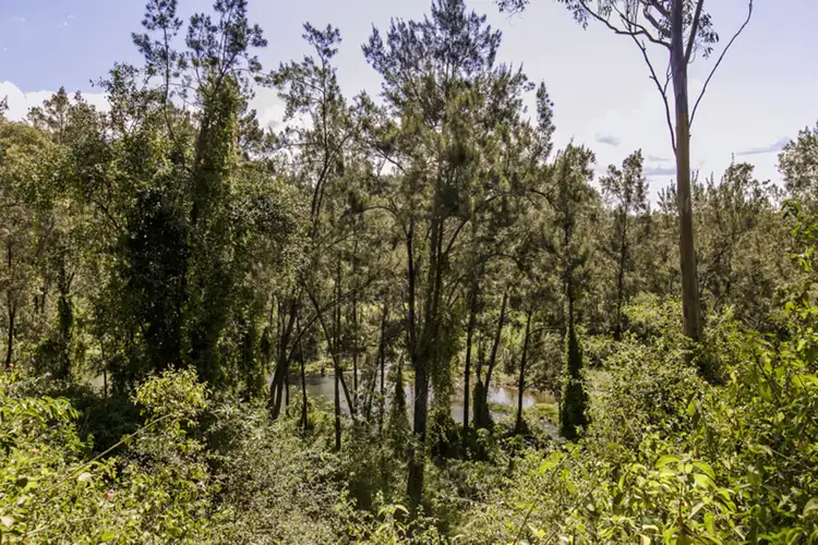 Fourth view of Homely land listing, Lot 11 (128-146) Smith Road, Castlereagh NSW 2749