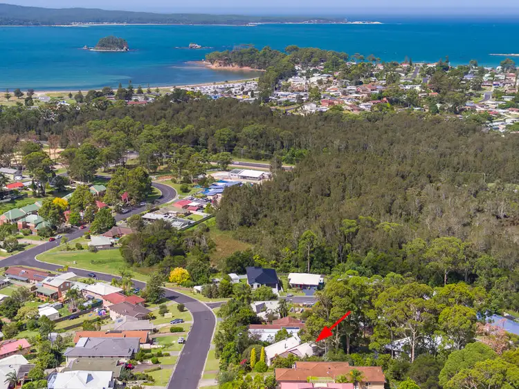 17 Yarrabee Drive, Catalina NSW 2536