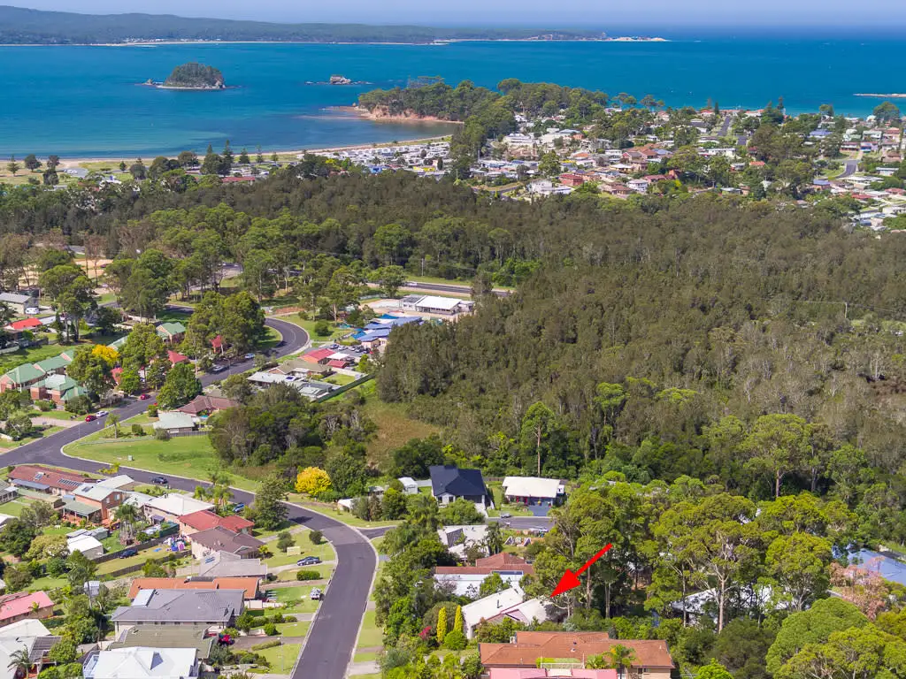 Main view of Homely house listing, 17 Yarrabee Drive, Catalina NSW 2536