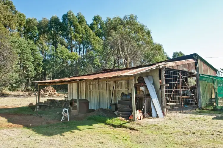 Seventh view of Homely house listing, 474 River Road, Reedy Marsh TAS 7304