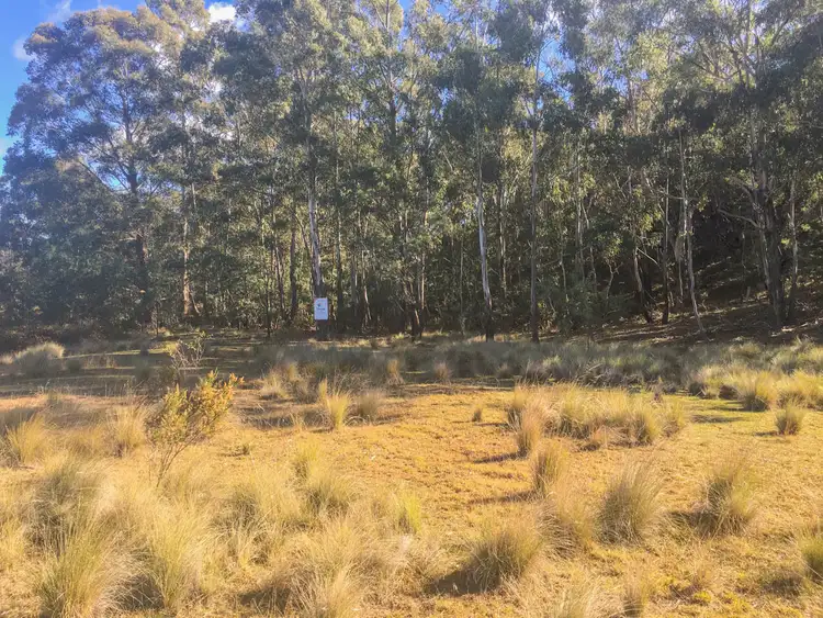 Fourth view of Homely rural property listing, 1567 Campbells Creek Road, Mudgee NSW 2850