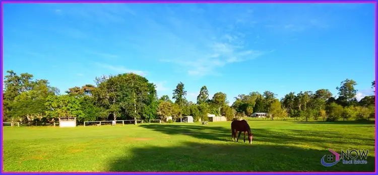 Second view of Homely house listing, 24 Currawong Place, Bellmere QLD 4510