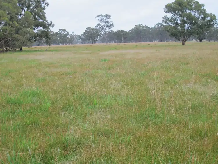 Third view of Homely rural property listing, # Downies Lane Mockinya via, Horsham VIC 3400