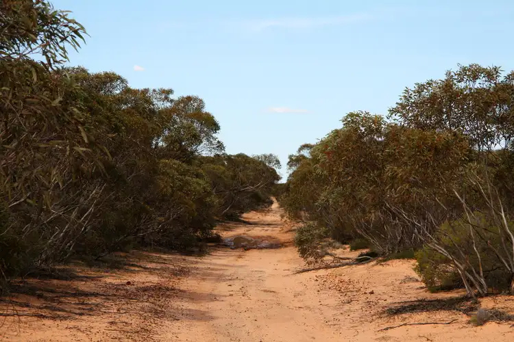 Third view of Homely rural property listing, Section 13 Hundred of Billiatt, Alawoona SA 5311