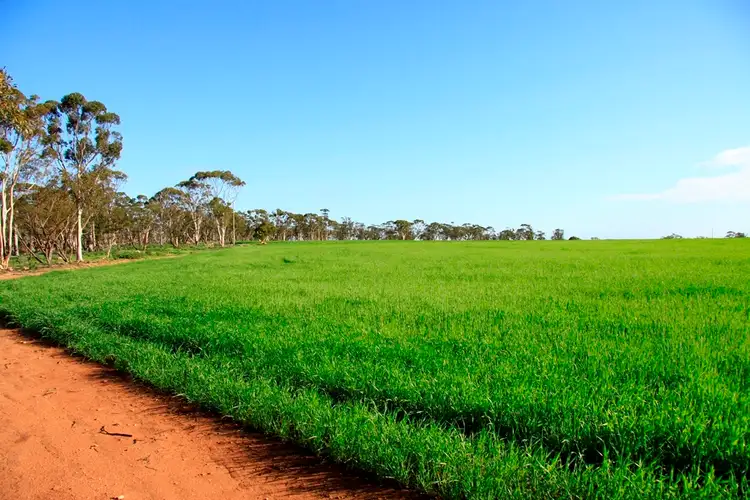 Fifth view of Homely rural property listing, - Lakeside, Corrigin WA 6375