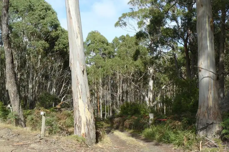 Fourth view of Homely land listing, 711 Nubeena Back Road, Koonya TAS 7187