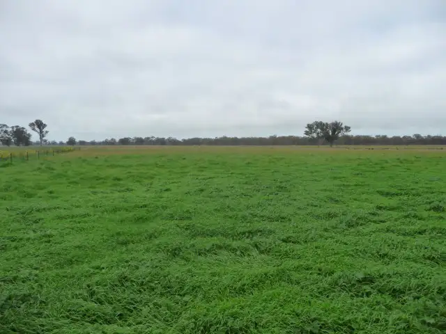 Third view of Homely rural property listing, 745 Wonwondah Dadswells Bridge Rd., Horsham VIC 3400