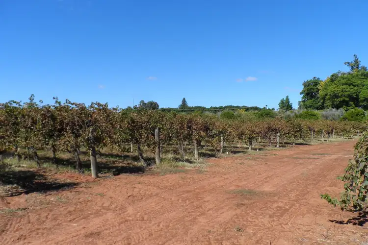 Seventh view of Homely land listing, 1 & 2 Tarcoola Street, Renmark SA 5341