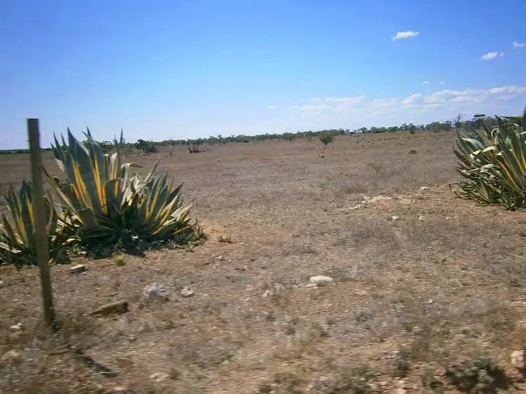 Fourth view of Homely rural property listing, Lot 39 McKay Road, Blanchetown SA 5357