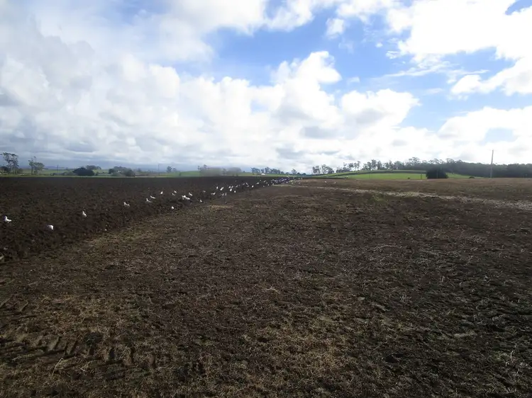 Third view of Homely rural property listing, 220 Squeaking Point Road, Thirlstane TAS 7307