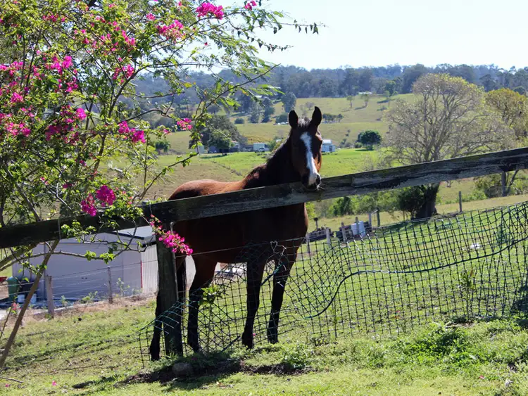 Third view of Homely land listing, 102-104 Panicum Close, Veresdale Scrub QLD 4285