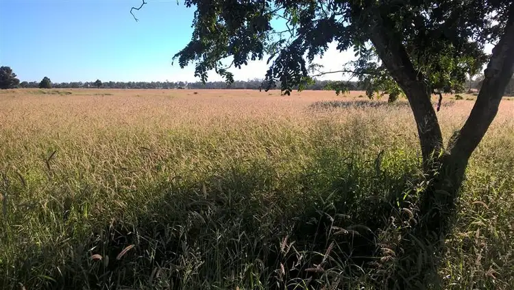 Fourth view of Homely rural property listing, 1013 Bundalba Road, Goovigen QLD 4702