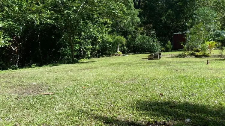 Sixth view of Homely land listing, 513 Silver Ash Road, Daintree QLD 4873