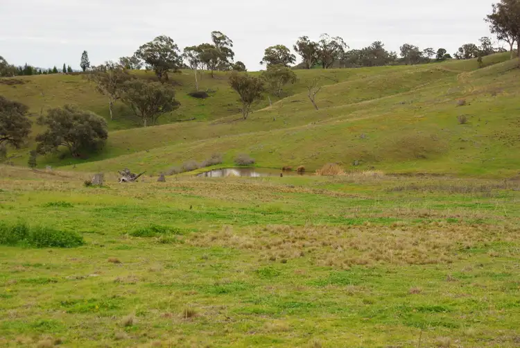 Main view of Homely rural property listing, Lot 248 Wallaroi, Stuart Town NSW 2820