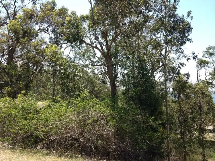 Fourth view of Homely land listing, 44 Whitbread Drive, Lemon Tree Passage NSW 2319