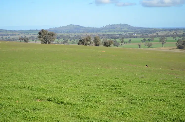 Third view of Homely rural property listing, Address available on request