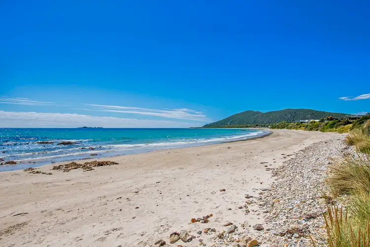 Fifth view of Homely house listing, 79 Irby Boulevard, Sisters Beach TAS 7321