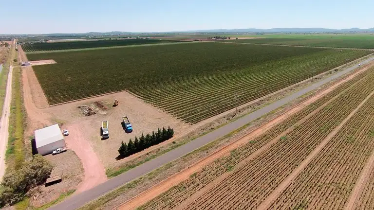 Main view of Homely rural property listing, Farm 258 Savage Road, Yoogali NSW 2680