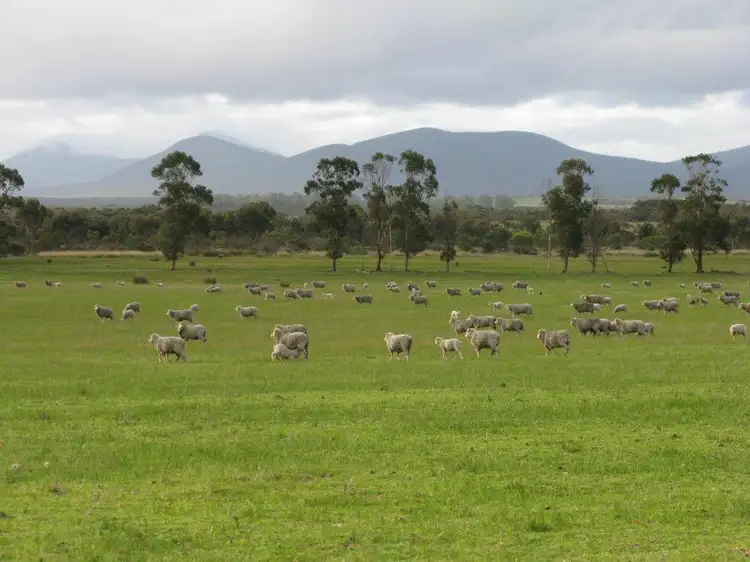 Main view of Homely rural property listing, 5619 Chester Pass Road, Woogenellup WA 6324