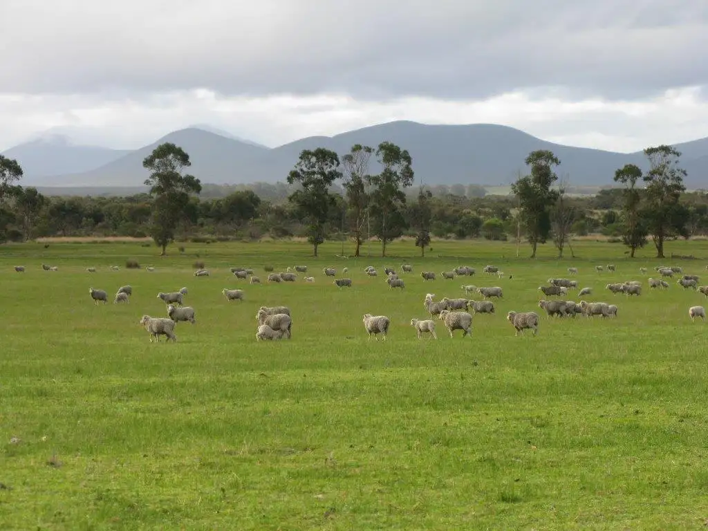Main view of Homely rural property listing, 5619 Chester Pass Road, Woogenellup WA 6324