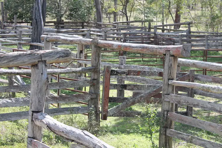 Fourth view of Homely rural property listing, 0 Korenan rd, Colosseum QLD 4677