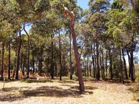 Second view of Homely land listing, 22 (Lot 340) Honeysuckle Glen, Cowaramup WA 6284