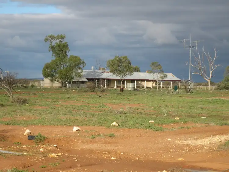 Second view of Homely rural property listing, . 'Mellenbye Station', Yalgoo WA 6635