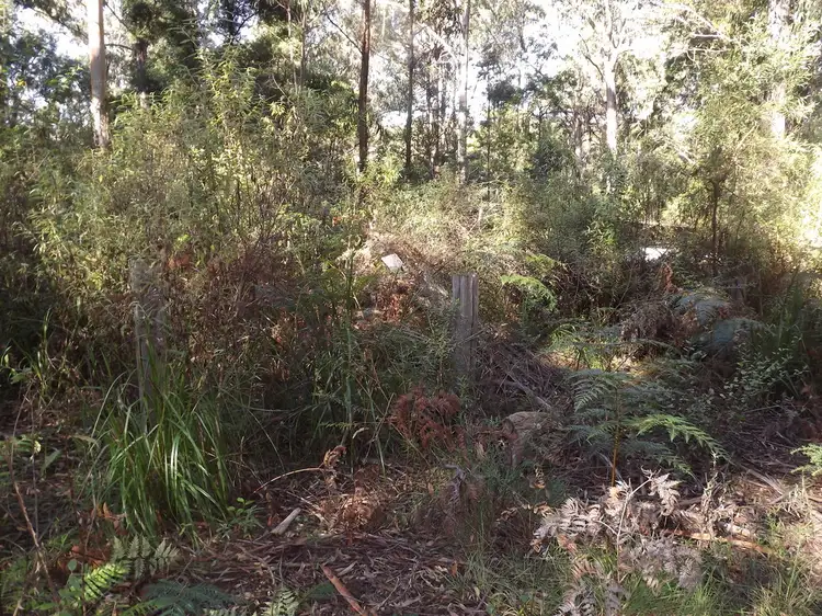 Main view of Homely house listing, 1840 MURRUNGOWAR ROAD, Cabbage Tree Creek VIC 3889