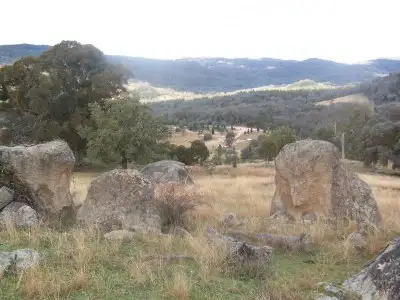 Main view of Homely rural property listing, 00 Foggs Crossing, Bigga NSW 2583